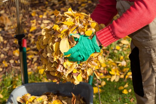 Importance of decluttering your home