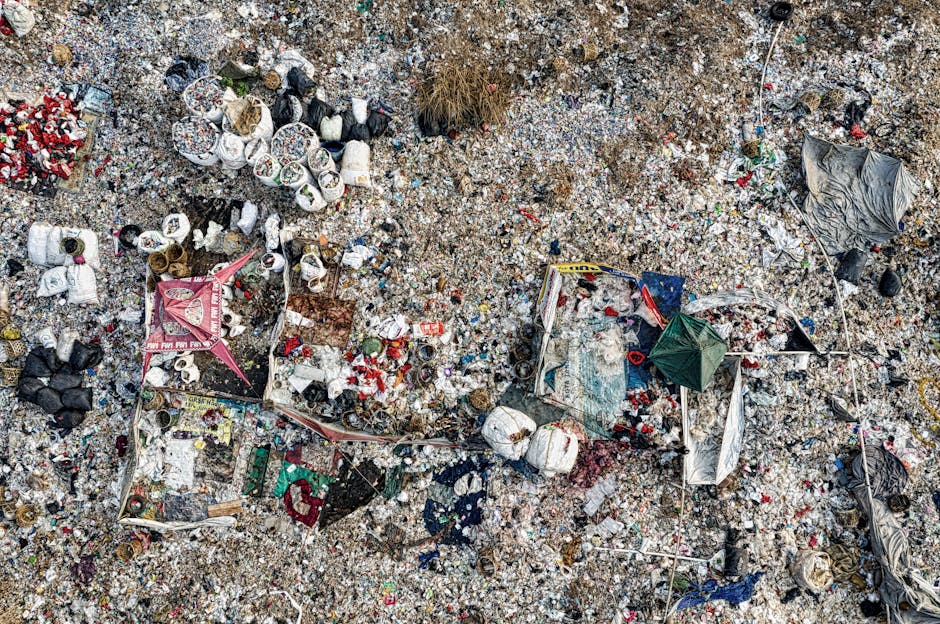 A green public clothing donation bin situated outdoors against a backdrop of foliage and rocks. The bin has a rectangular shape with a sloped top and multiple compartments, each labeled with Chinese c